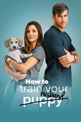 How to Train Your Husband movie poster