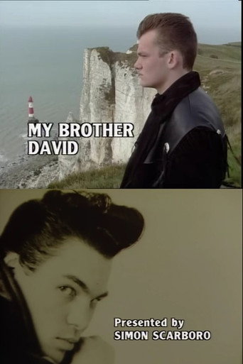 My Brother David movie poster