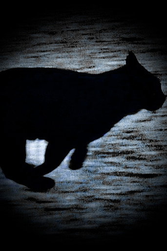A Black Cat Escapes movie poster