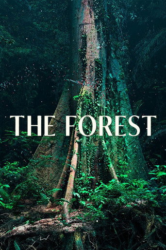 The Forest movie poster