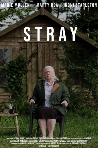 Stray movie poster