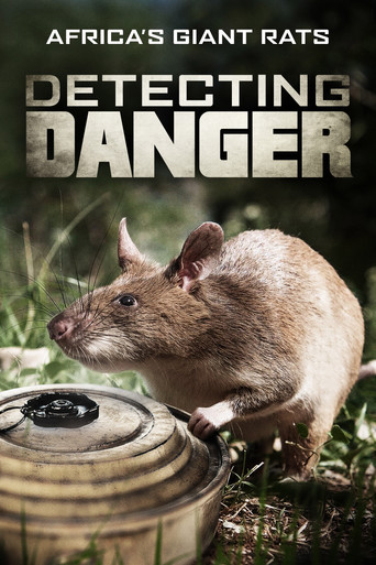 Detecting Danger: Africa's Giant Rats movie poster