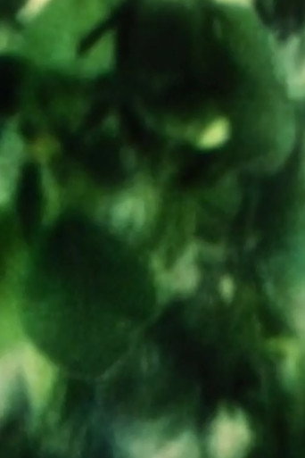 Plum Tree Zoom movie poster