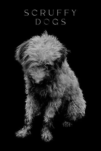 Scruffy Dogs movie poster