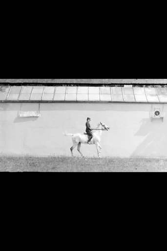 Bay Horse, Mounted, Trotting movie poster