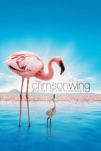 The Crimson Wing: Mystery of the Flamingos movie poster