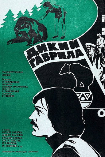 Wild Gavrila movie poster