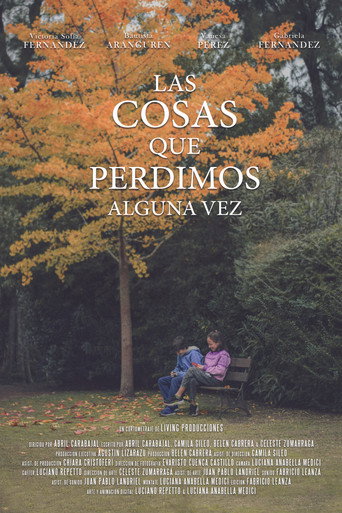 Las cosas que perdimos alguna vez movie poster