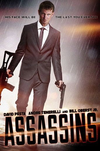 Assassins movie poster