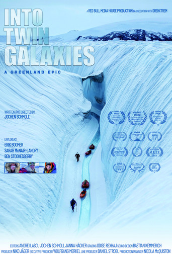 Into Twin Galaxies movie poster