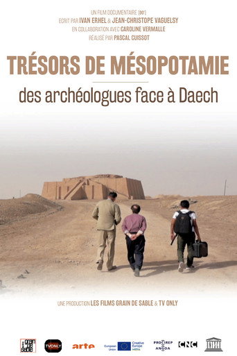 Trésors de Mésopotamie : Des archéologues face à Daech movie poster
