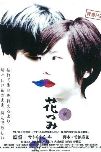 Picking Up Flowers movie poster