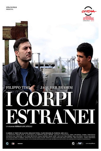 Foreign Bodies movie poster
