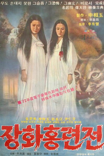 A Story of Two Sisters movie poster