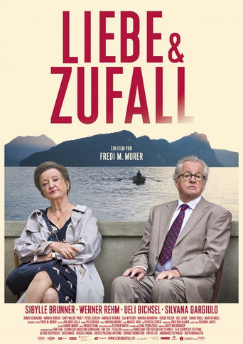 Liebe und Zufall movie poster
