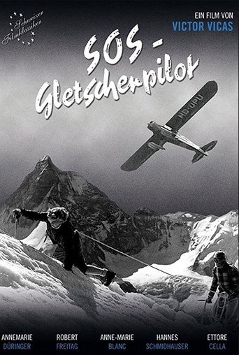 SOS - Gletscherpilot movie poster