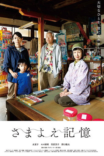 Wandering Memories movie poster