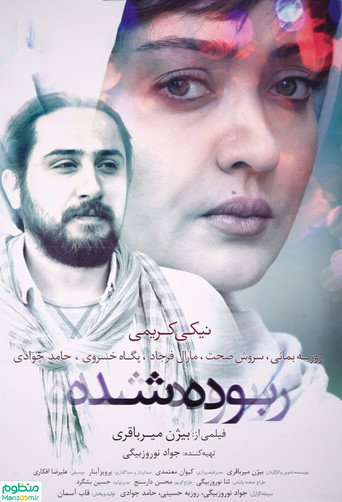 Stolen movie poster