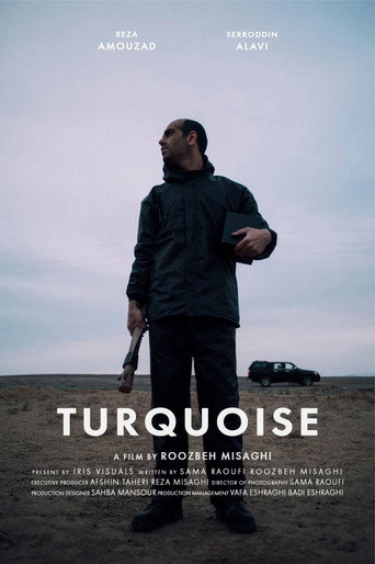 Turquoise movie poster