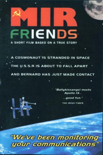 Mir Friends movie poster