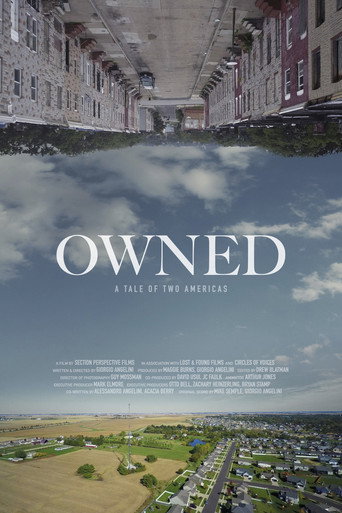 Owned: A Tale of Two Americas movie poster