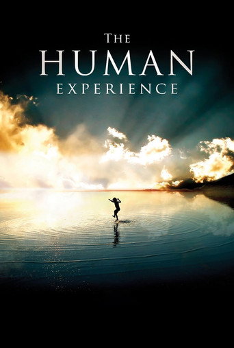 The Human Experience movie poster