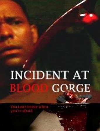 Incident at Blood Gorge movie poster
