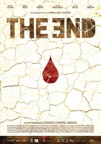 The End movie poster