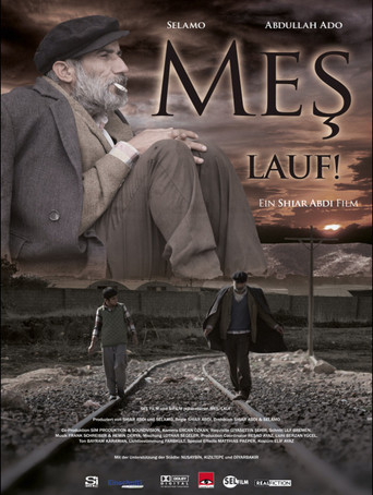 Walking movie poster