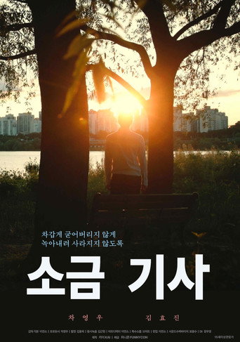 Salt Knight movie poster