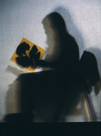 Lourdes Castro Shadows movie poster