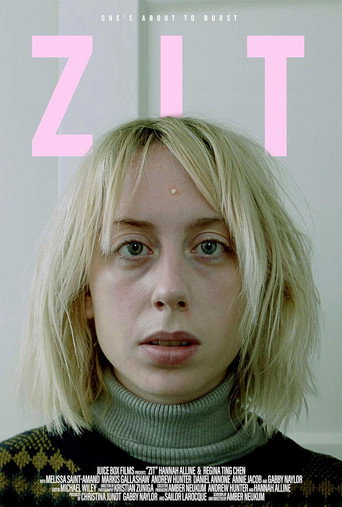 ZIT movie poster