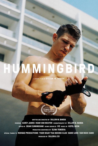 Hummingbird movie poster
