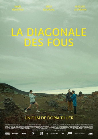 La diagonale des fous movie poster