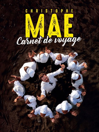 Christophe Maé - Carnet de voyage movie poster