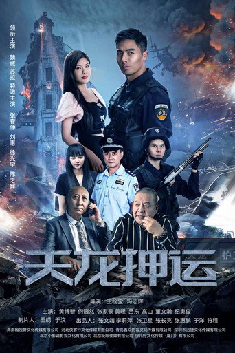 天龙押运 movie poster
