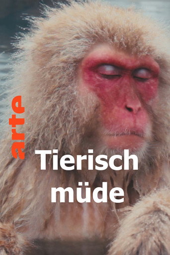 Tierisch müde - Das Rätsel Schlaf movie poster