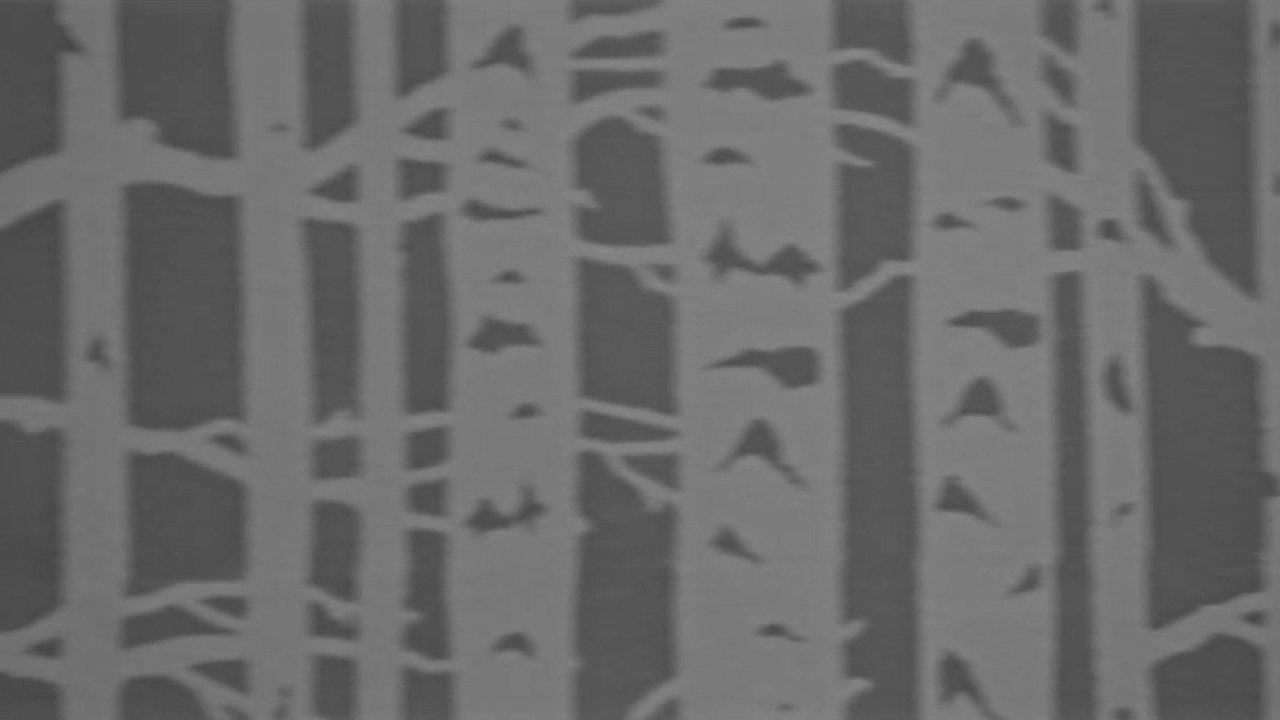 Echo Awake backdrop
