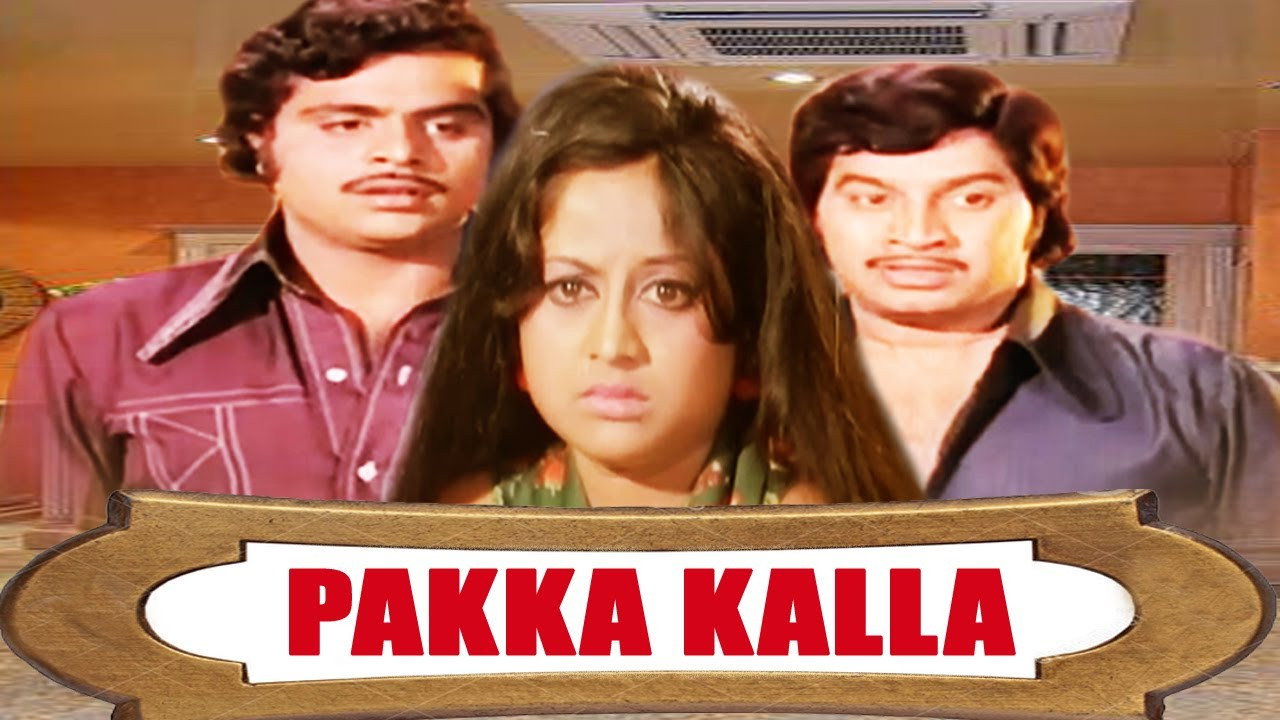 Pakka Kalla backdrop
