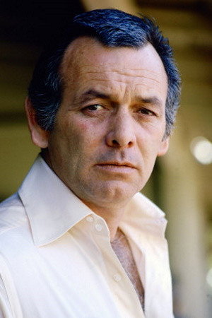 David Janssen portrait