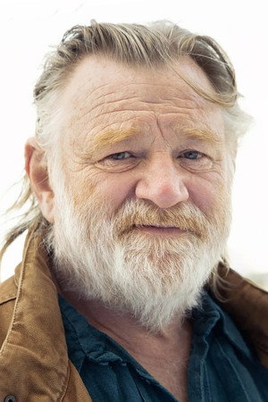 Brendan Gleeson portrait