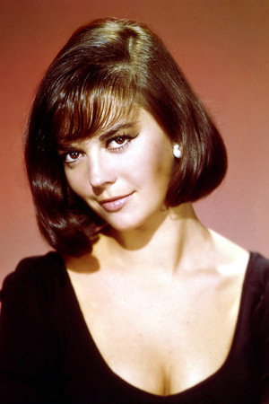 Natalie Wood portrait