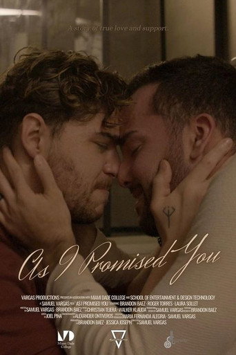 Poster for As I Promised You