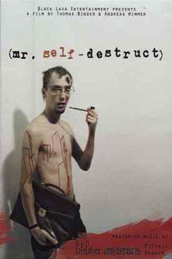 Poster for Mr. Self-Destruct