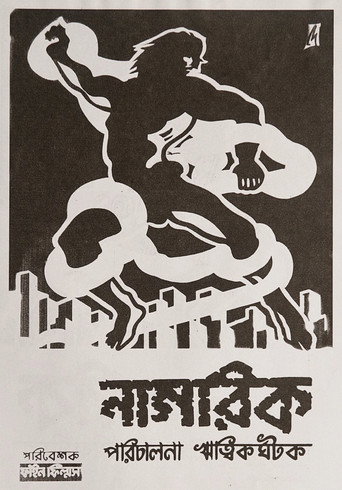 Poster for The Citizen