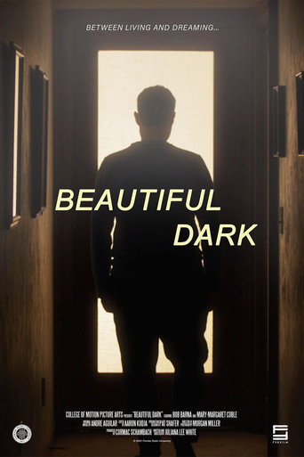 Poster for Beautiful Dark