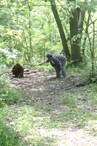 Poster for Bigfoot