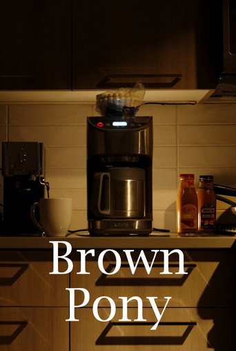 Poster for Brown Pony