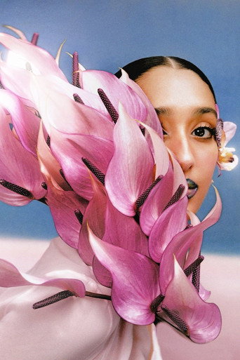 Poster for Where The Butterflies Went