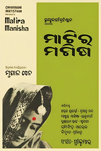 Poster for Two Brothers